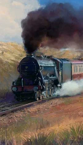 Quest for a teenager in Bonn.